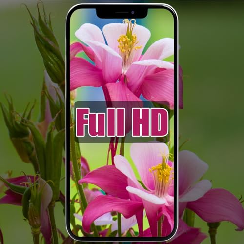 Écran pour iPhone 15 Pro Max Tactile Digitizer LCD Full HD 6,7"