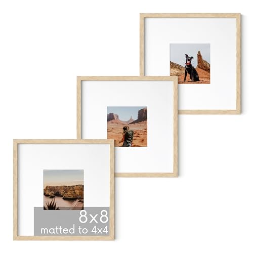 HAUS AND HUES Solid Oak Wood 8x8 Picture Frames Matted to 4x4 Set of 3-8x8 Standard Square Picture Frames, Natural Wood Picture Frames 8x8 Square, Matted Picture Frame 8x8 (Beige Oak Frames)
