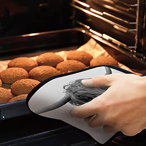Highland Cow Pot Holders Set Of 2 Kitchen Heat Resistant Potholder For Microwave Cooking Baking Oven End Dishes And Bbq #TOP6