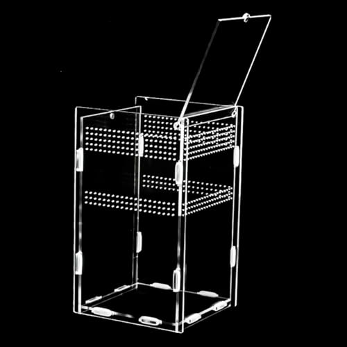 CENPEK Reptile Feeding Box Transparent Acrylic Reptile Enclosure Case for Spider Lizard Scorpion Centipede Horned Frog Beetle.(12x12x20cm)