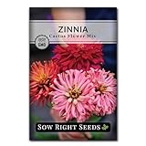 Sow Right Seeds - Zinnia Cactus Flower Seeds for Planting - Beautiful Flowers to Plant in Your Garden - Non-GMO Heirloom Seeds - Red and Pink Variety - Attract Pollinators - Beautiful Cut Flower (1)