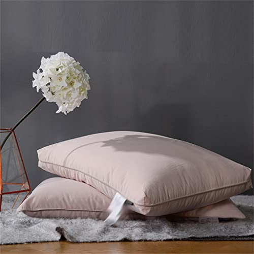 Noyau d'oreiller en velours doux Feng Shui pour un confort adulte optimal