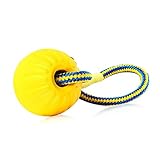 Hundeball Delmkin Wurfball Hundespielzeug Ball Naturgummiball mit Seil für Kleine Hunde Welpen | Φ 9CM