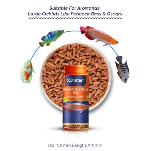 Image of Fisher Men Intan Aquatic Arowana Sticks Fish Food 110g | Big Floating Stick 3.2mm x 9.5mm Pellet | Arowana Floating Feed for All Life Stages | Ornamental Aquarium Fish Food | Large Stick Pack of 1