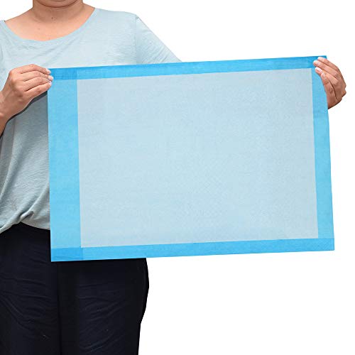Dealmed Standard Non-Sterile Medical Underpads, 300 Count Disposable 2-Ply Tissue Fill, 24" X 17", Blue, 300 Count, Perfect For Pet Pads, Furniture Protection And More, 100 Count (3 Pack) #TOP7