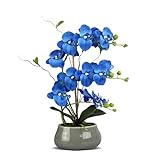 orquideas azules cuidados Mantenimiento: no necesita riego, la sensación de tacto está cerca de la flor real, húmeda y resbaladiza, se puede lavar, no se decolora. No hay necesidad de preocuparse por que las flores artificiales de orquídea se marchiten o las hojas se caigan.