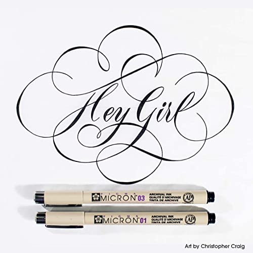 SAKURA Pigma Micron Black Ink Multi-tip Set, 10 Pack by SAKURA - Image 8
