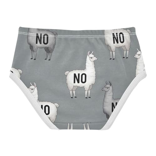 Florals Girls Underwear Toddler 2t Cotton Little Girl Panties Gray White Llamas Briefs Undies Kids2