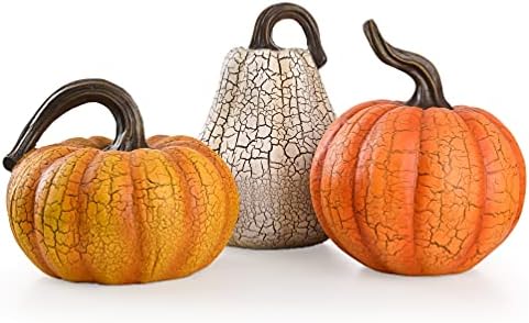 Amazon.com: Valery Madelyn Pumpkins Fall Table Decor for Home, Set of 3 ...