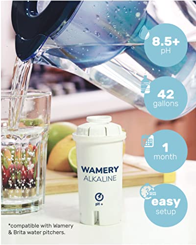 Wamery Certified Alkaline Water Filter Replacement Fits Brita And Wamery Pitcher Cartridges 3-Pack, Increases Water Ph. #TOP2