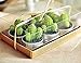 WISDOMTOY 6-Piece Mini Lovely Green Meat Plant Cactus Romantic Candle