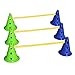 Ball Dynamics FitPAWS CanineGym Agility Kit