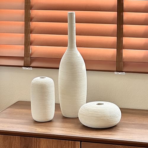 Ceramic Vase Set of 3 Flower Vases Home Decor Modern