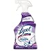 Lysol Mildew Remover Spray with Bleach, 32 Ounce (Pack of 12)
