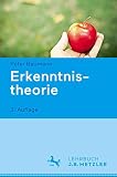 Erkenntnistheorie: Lehrbuch Philosophie