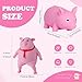 AiSiXin Squishy Pig Toys (2Pack) Pink Pig Stress Balls for Adults and Kids, Cute Pig Stress Relief Fidget Sensory Toys, Animal Squeeze Squishy Ball, Set for Stretch Stress Pig Toys for Party Favors