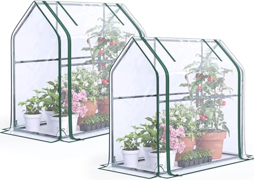 Mini Greenhouse 2-Pack for Indoor & Outdoor Use