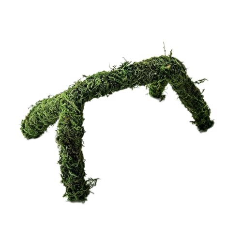 JOVYTH branche flexible en mousse de 60 cm pour terrarium