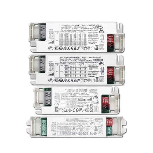 Alimentation AC 220V variable pour projet de rénovation lumineuse - 2