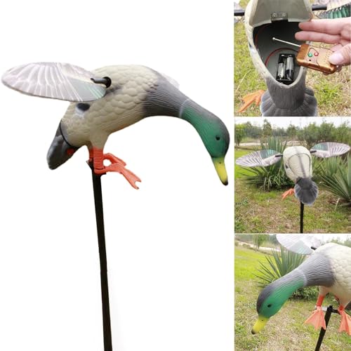 Attirer canard colvert farouche leurre électrique ailes battantes télécommandé - 7
