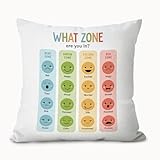 CFFJLHN Mental Health Pillow Cover 18x18, Therapy Office Decor, What Zone are You in Emotion Chart Decorative Throw Pillow Cover Pillowcase Decorations for Therapy Counselor Counseling Office Decor