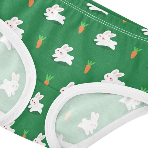 Cute Bunny Rabbit Carrot Green Toddler Girls's Underwear 2T 23022384