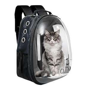 Buraq Economy Pet Carrier Backpack, Designed with Breathable Space, Ventilated Cat Bag, Comfortable Cat Carrier for Outdoor Use (Black)