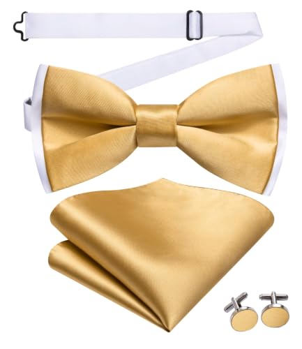 Image of Dubulle Mens Paisley Striped Bowtie Set Pre-tied Bowtie for Men and Pocket Square Set Wedding Business
