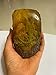 Large Amber Ornaments Resin Amber Protolith Wormhole Ornaments Real Scorpion Specimens for Office and Home Ornaments (House Lizard)