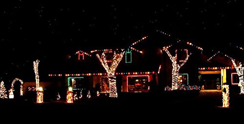 Stay Off The Roof Warm White Christmas Lights - 55 Ft 200-Count Green Wire Mini String Lights Super Bright Led For Outdoor/Indoor Use - Bulk Packaging - Connect Up To 15 Sets – Seasonal Lighting #TOP4