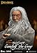 Beast Kingdom The Lord of The Rings: Gandalf The Grey DAH-106SP Dynamic 8-ction Heroes Action Figure