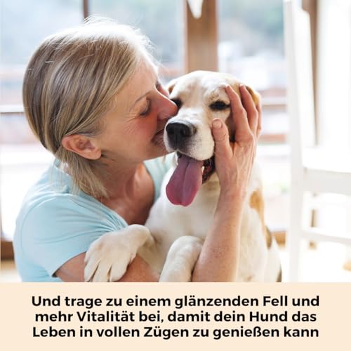 Dog-Native Wildfischöl für Hunde, Omega-3 Öl für Fell & Haut, Fischöl aus Wildfang, Barföl mit Vitamin E, Lachsöl Alternative in dunkler Glasflasche, 500ml
