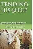 tending his sheep: essential practical theology for the maturing christian working in the kingdom of god.: 2