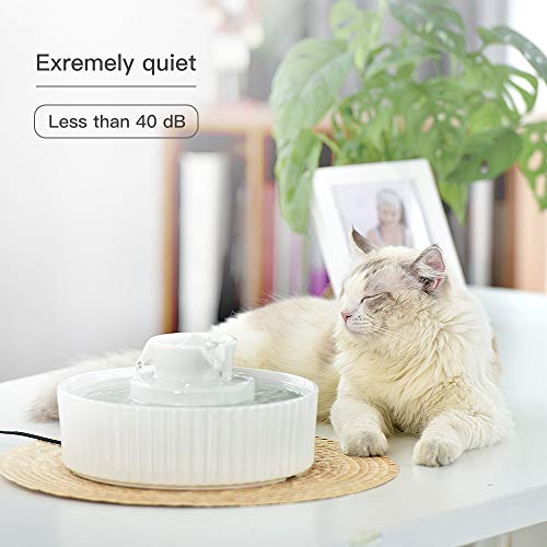 Cepheus Ceramic Pet Drinking Fountain, Ultra Quiet Cat Water Fountain, 2.1L Drinking Fountains Bowl For Cat And Dogs With Carbon Filter And Foam(White) #TOP3