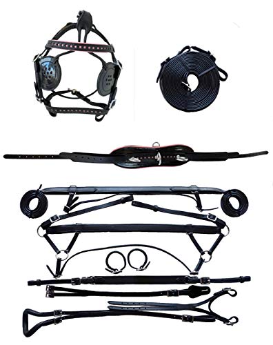 Equitem Black Leather Mini Pony Driving Harness with Pink Stars