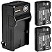 BM Premium 2-Pack of 2 LP-E6, LP-E6N Batteries and Charger for Canon C700, XC10, XC15, EOS 60D, EOS 70D, EOS 80D, EOS 5D II, EOS 5D III, EOS 5D IV, EOS 5Ds, EOS 6D, EOS 7D,EOS 7D Mark II SLR Camera