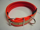 Bombilla Halsung, cuello banda biothane 25 mm de ancho, naranja, ajustable, brilla en la oscuridad
