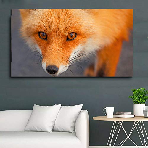 Affiches et Gravures Moderne Animal KEBIA Toile Peintures Mur Art 60x120