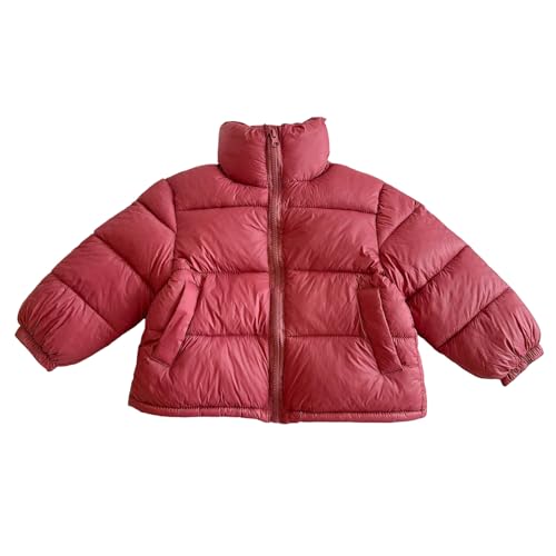 _EWPbg LbY ~  q _ER[g j̎q ̎q h g  WPbg  n  Vv AE^[ OJ WbvAbv j̎q t@bV u] ̎q  JWA q ʊw ʉ o