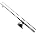 Daiwa DSK20-B/F602ML D-Shock Freshwater Spinning Combo, 1 Bearing, 6' Length, 2Piece Rod, Medium/Light Power, Fast Action, Ambidextrous