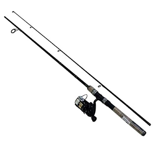 Daiwa DSK25-B/F662M-10C D-Shock Freshwater Spinning Combo, 2500, 6'6" Length, 2Piece Rod, 6-14 lb Line Rating, Medium Power,Black/Gold