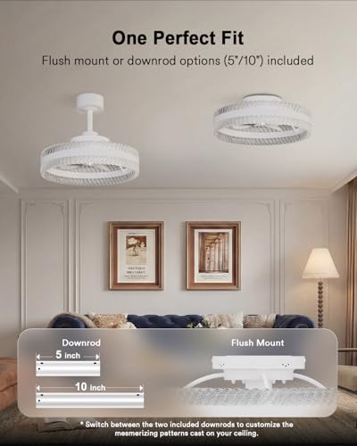 Image of Lumary 20in Smart Ceiling Fan with Lights, Feather Projection Crystal