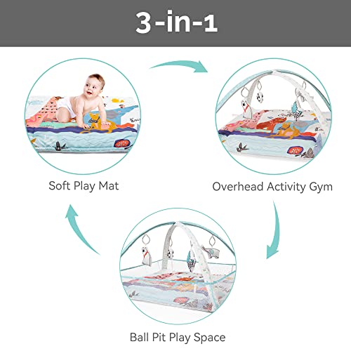 Ladida Baby Activity Gym, Play Gym With Ball Pit - 3 Stage Play Gym Padded Tummy Time Mat With Stem Based Toys For Sensory And Motor Skill Development, Newborn To Toddler,Include 10 Balls #TOP1