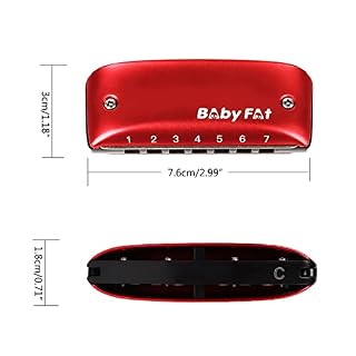 MayDONG Harmonica diatonique à 7 trous avec cordons gratuits pour enfants, amis et débutants - Les Beatles, Paul McCartney, John Lennon, RIngo Starr, George Harrison MayDONG Harmonica diatonique à 7 trous avec cordons gratuits pour enfants, amis et débutants – Image 3