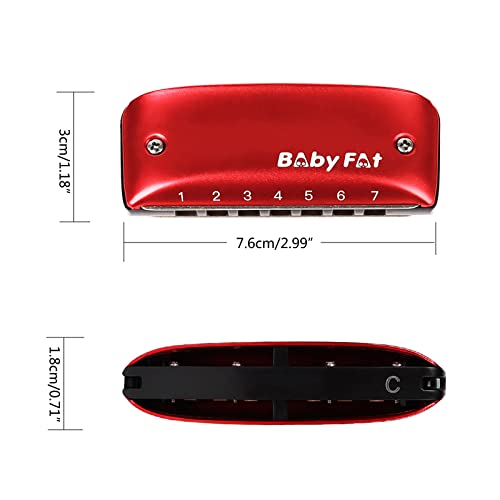 MayDONG Harmonica diatonique à 7 trous avec cordons gratuits pour enfants, amis et débutants - Les Beatles, Paul McCartney, John Lennon, RIngo Starr, George Harrison MayDONG Harmonica diatonique à 7 trous avec cordons gratuits pour enfants, amis et débutants – Image 4