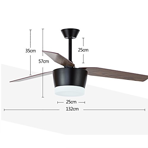 Ventilateur de plafond avec éclairage LED 24W et commande murale noire - 3