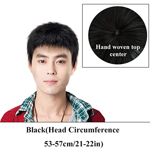 Lioons Handsome Men Fluffy Wigs Human Hair Men Short Wigs Natural Look Adult Replacement Full Wig Realistic Black For Everyday Wear #TOP1