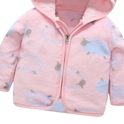 AIWUHE Baby Boys Girls Hooded Fleece Jacket Cute Bear Hoodie Zip Up Teddy Coat Sherpa Winter Warm Outwear With Pocket 1-6Y4