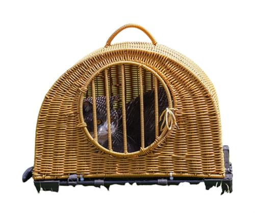 yXXAzL y3TCY/3J[z ^ 傫 􂦂 LbgnEX h[    ~ ybgnEX h[^ L nEX xbh ʔN Lbgxbh  ې \ ҂ ʋC [ g[ I[V[Y K ҂ݔL