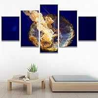 SIGNWIN 5 Panel Canvas Wall Art Group Jellyfish Marine Life Multicolor Photography Realism Tropical Ultra Whimsical for Home Decorations Ready to Hang - 60